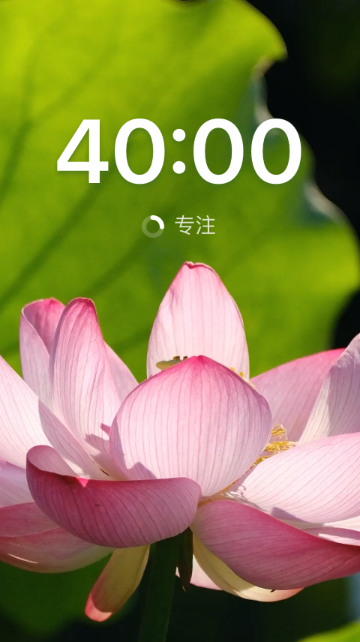荷风半夏